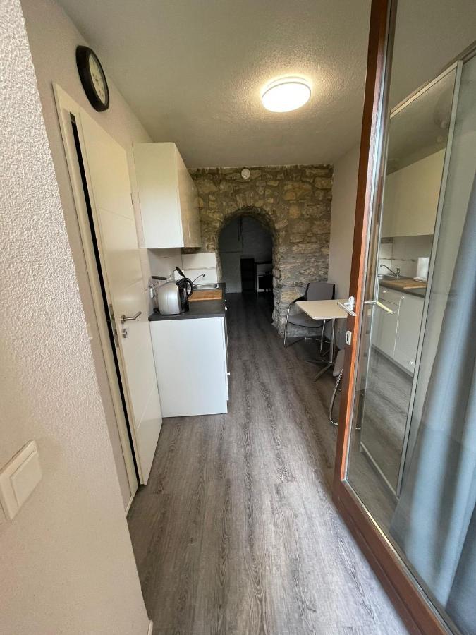 City Apartment Bad Saeckingen Mit Parkplatz Dış mekan fotoğraf
