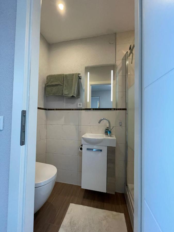 City Apartment Bad Saeckingen Mit Parkplatz Dış mekan fotoğraf