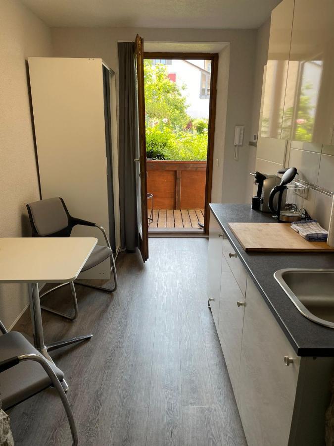 City Apartment Bad Saeckingen Mit Parkplatz Dış mekan fotoğraf